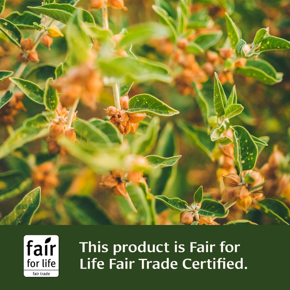 Mezcla para Latte de Ashwagandha (119 g)