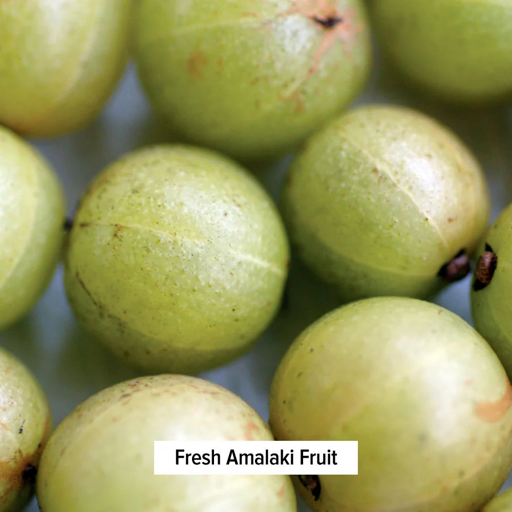 Triphala Orgánica en Polvo