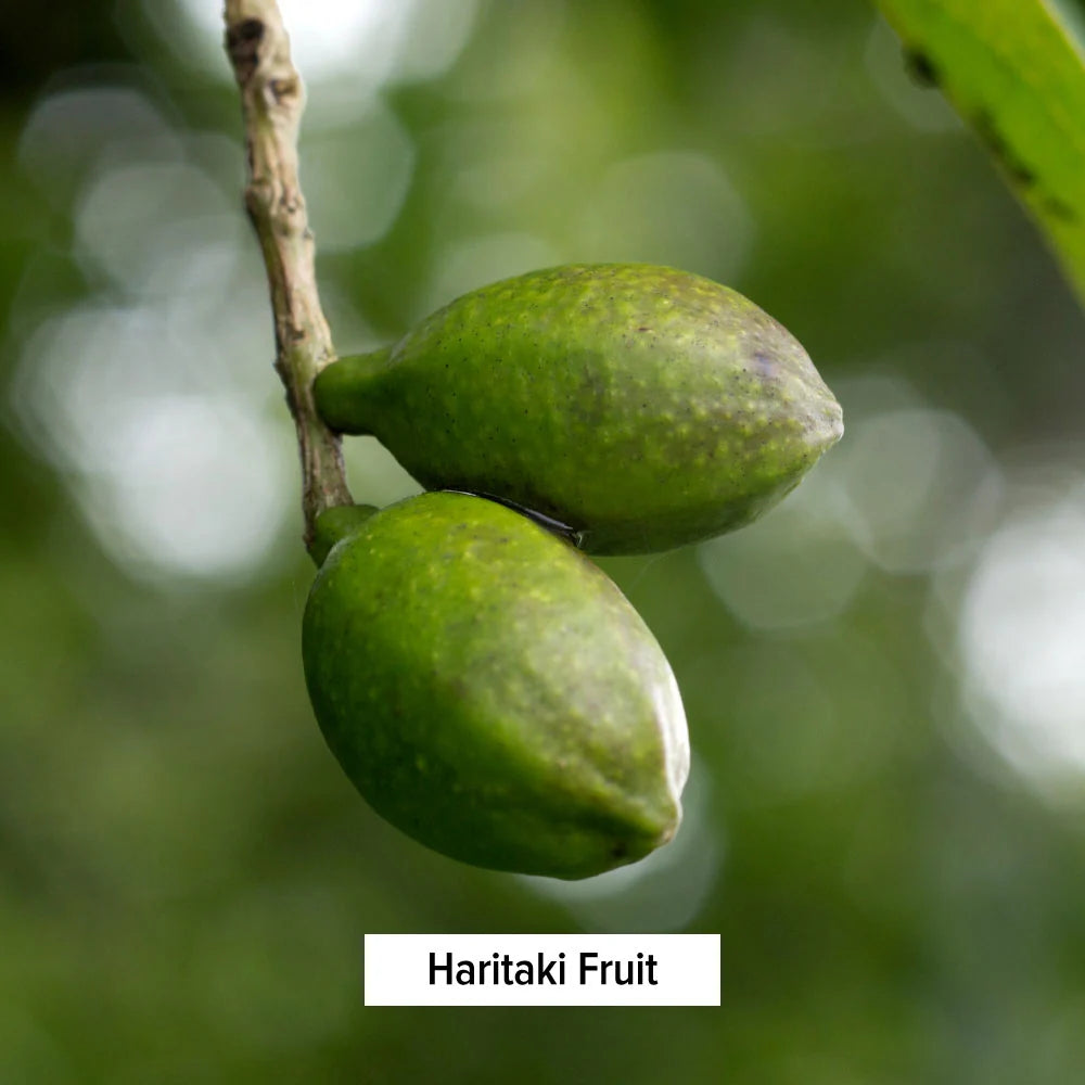 Triphala Orgánica en Polvo