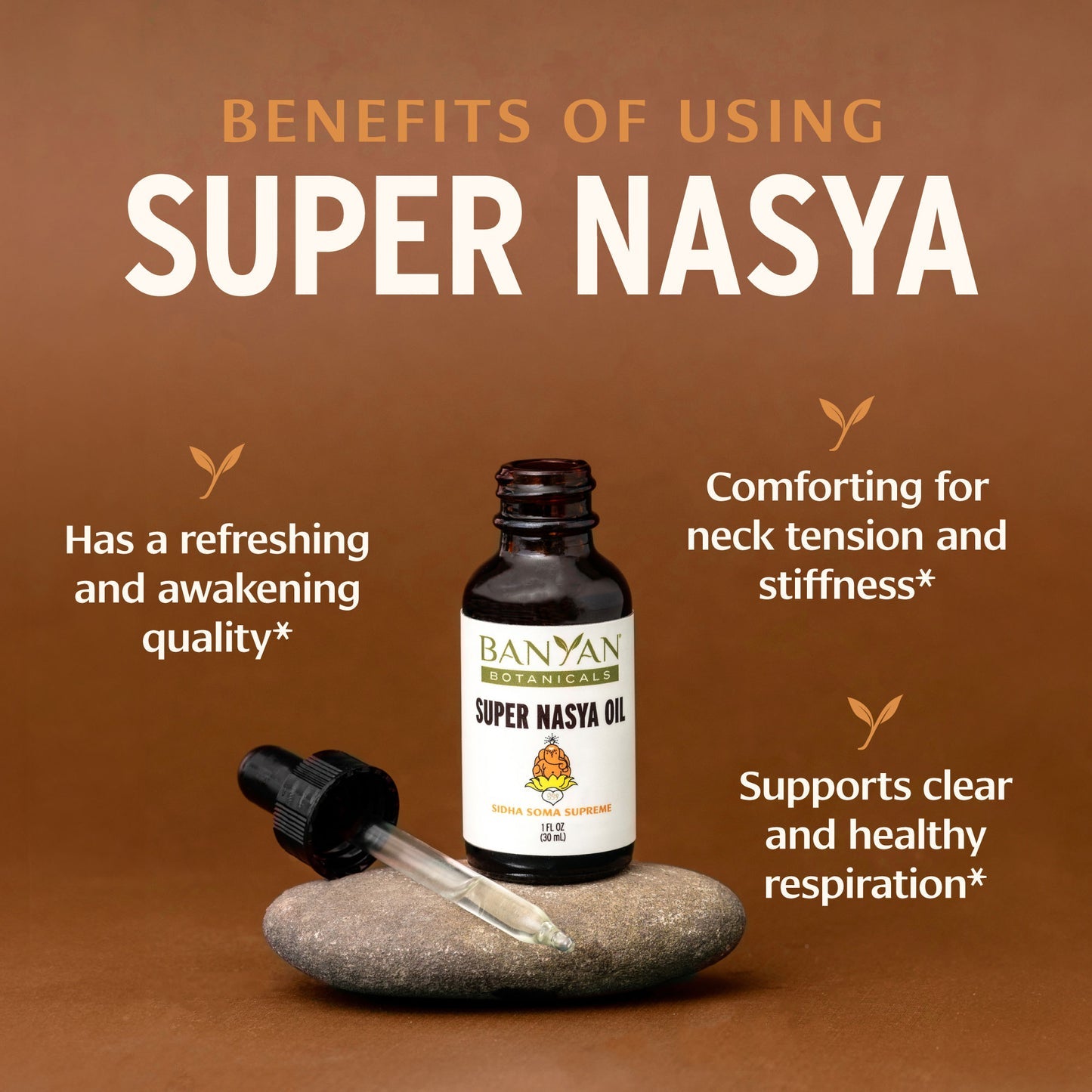 Aceite Nasya Especial